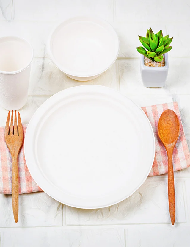 Why choose our biodegradable paper plates?