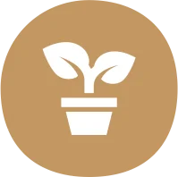 biodegradable paper plates supplier
