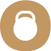 biodegradable paper plates supplier