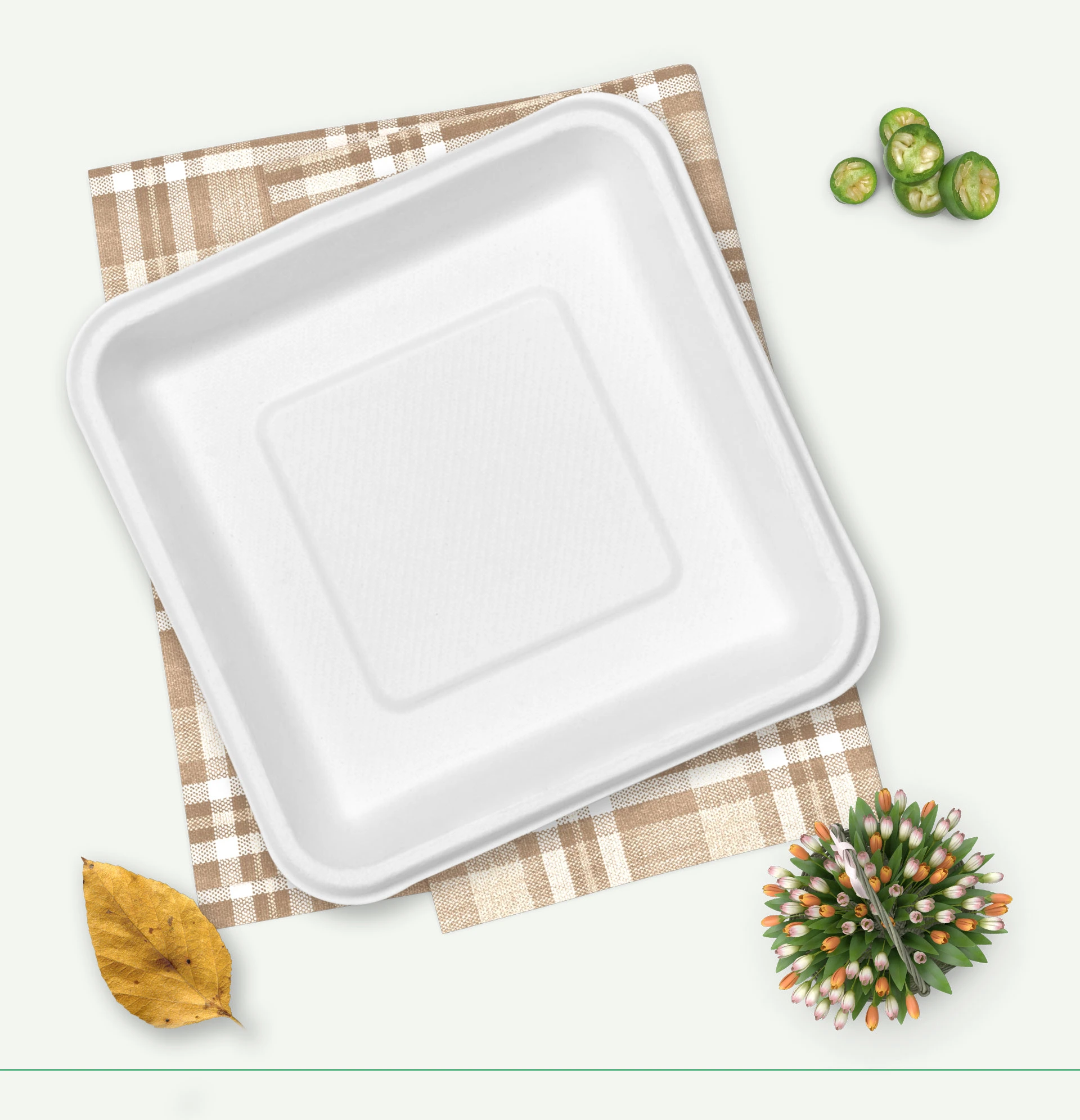 biodegradable paper plates exporter