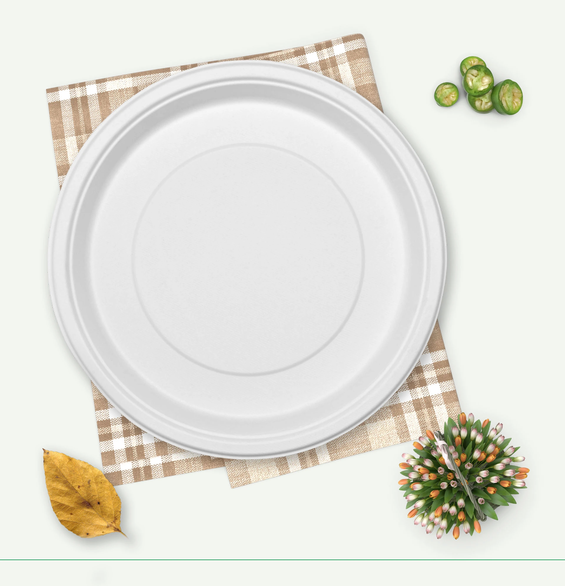 biodegradable paper plates exporter