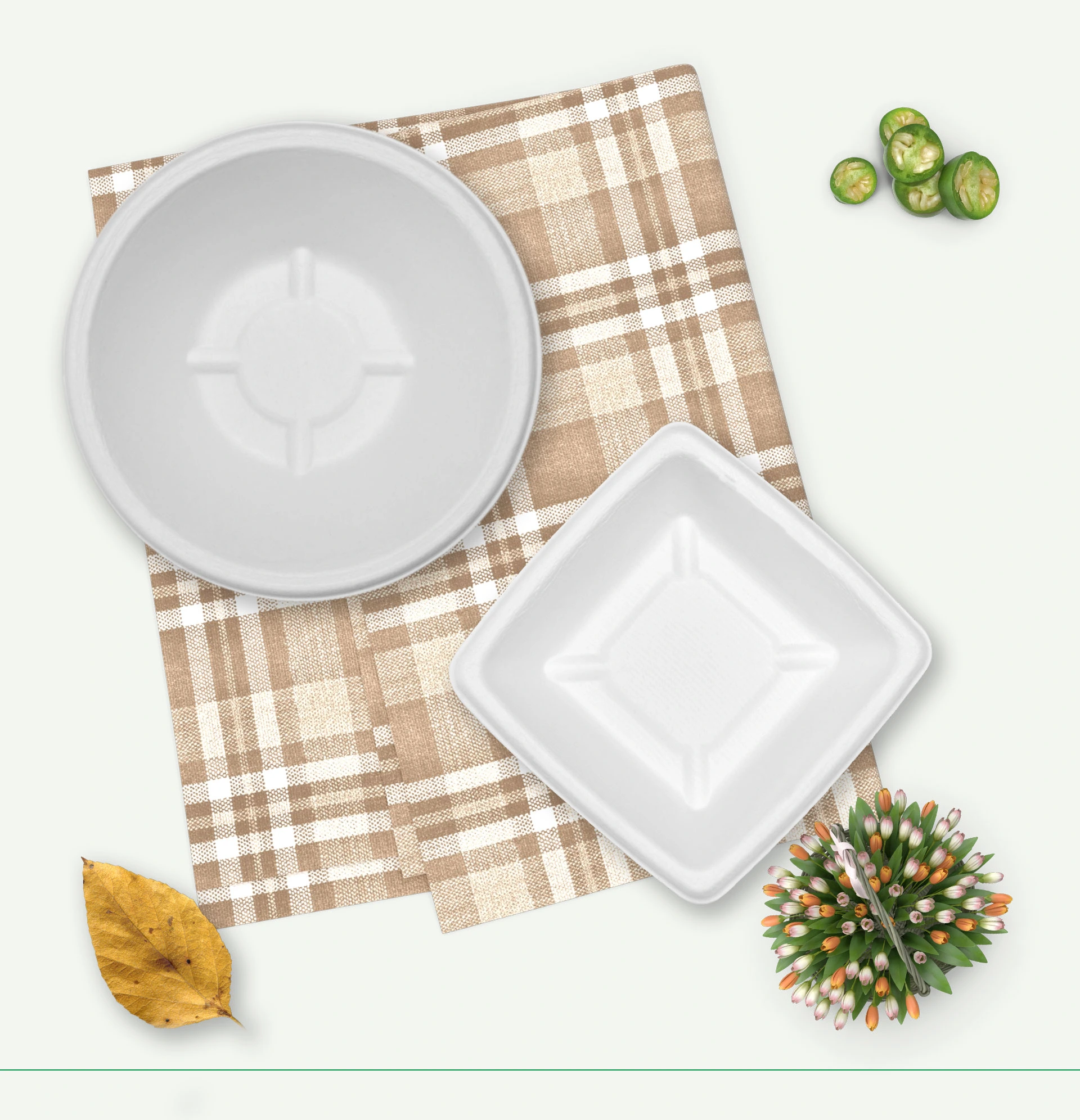 biodegradable paper plates exporter
