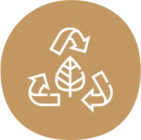 biodegradable paper plates Manufacturer