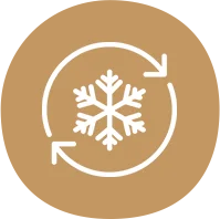 biodegradable paper plates Manufacturer