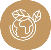 biodegradable paper plates Manufacturer