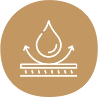 biodegradable paper plates Manufacturer